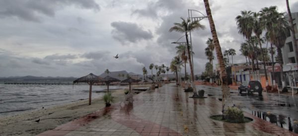 AristeguiOnline's tweet image. Al menos 4 muertos en BCS por Lidia; declaran emergencia para 5 municipios ow.ly/BMad30eR7Il