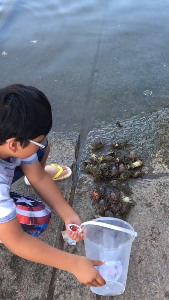 KayFestejo's tweet photo. @StBernsPrimary Brent loves crabbing! 🦀 🦀 🦀 #JuniorExplorer  #ConwyBay #northwales https://t.co/GTPkgCV9qp