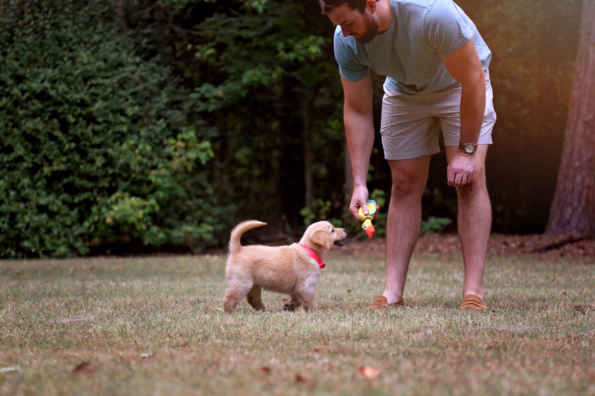 TheRealDerv's tweet image. lol if you think i actually hired a photographer to take pictures of my new puppy then you're exactly right bc i totally did.