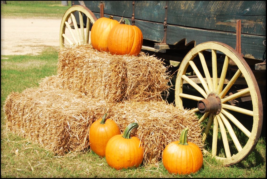 RecipeKitWare's tweet photo. #september is here! While we depart from our #summer warmth, why not welcome the coming #season by checking out our #fall-featured products. https://t.co/VNjjByMUL2