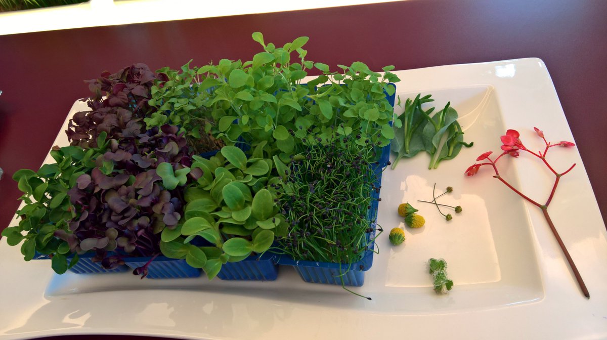 MarjoBaeten's tweet photo. Wat gaaf weer! @koppertcress @hermanpoos De Rob Baan geeft smaakles aan @HAShogeschool studenten Voedseldialoog @foodupbrabant Smaakexplosie https://t.co/5iprbCa5js