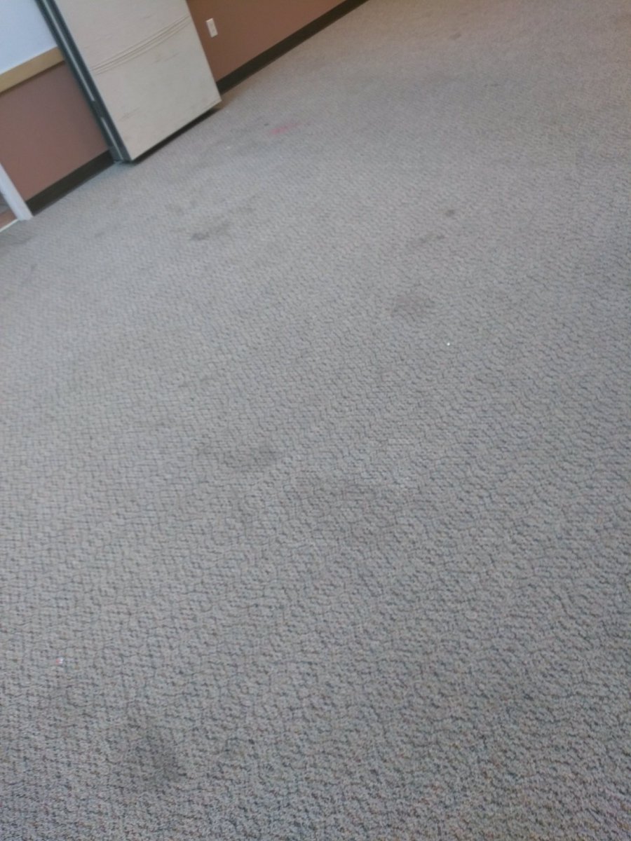 Braxton_CS's tweet photo. BEFORE: This is a carpet we're starting work on today. Results coming in a bit! https://t.co/kkBE2jOieo