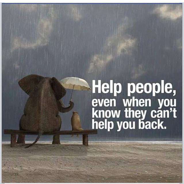 Fitness Gods (@thefitg) on Twitter photo 