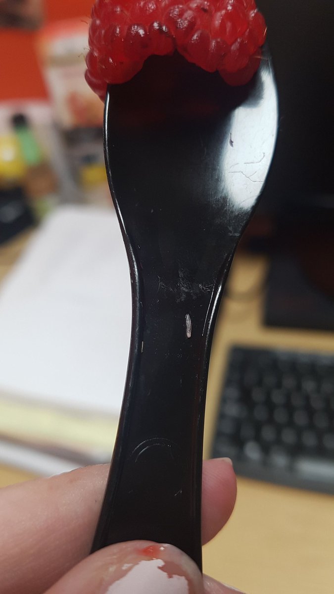 CarlyHigley's tweet image. Trying to eat healthy... to find a maggot in your @Tesco fruit pot 🤢🤢🤢 #gonnavom