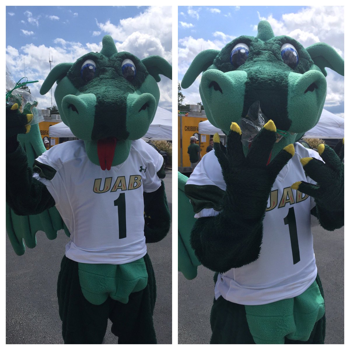 IcingCookies's tweet image. Even Blaze can't resist our cookies!! Welcome back UAB Football! #TheReturn