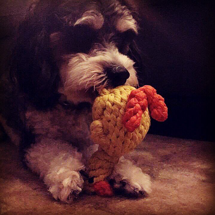 MyPetential's tweet photo. He looks so dangerous 😅 https://t.co/7mQlm5GqLu