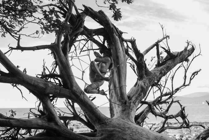 Tendrils. @SaffronTresses in my @mocojute https://t.co/bLUwt1WGj6<a class="tags" target="_blank" title="On Twitter" href="/?out=eyJ0eXAiOiJKV1QiLCJhbGciOiJIUzUxMiJ9.eyJpYXQiOjE3MjE1ODUwMjEsImlzcyI6InR3cG9ybnN0YXJzLmNvbSIsIm5iZiI6MTcyMTU4NTAyMSwiZXhwIjoxNzUzMTIxMDIxLCJyZWRpcmVjdF91cmwiOiJodHRwczovL3R3aXR0ZXIuY29tL1NhZmZyb25UcmVzc2VzIn0.mYzGRNdTB637gnGZLdvsnMPcboM4mdHzWGrE14apHGOuiI4x8lntnCMfxV2N1DbDrMDA-wQSGTR0-NbyQwWFVA">@SaffronTresses</a><a class="tags" target="_blank" title="On Twitter" href="/?out=eyJ0eXAiOiJKV1QiLCJhbGciOiJIUzUxMiJ9.eyJpYXQiOjE3MjE1ODUwMjEsImlzcyI6InR3cG9ybnN0YXJzLmNvbSIsIm5iZiI6MTcyMTU4NTAyMSwiZXhwIjoxNzUzMTIxMDIxLCJyZWRpcmVjdF91cmwiOiJodHRwczovL3R3aXR0ZXIuY29tL21vY29qdXRlIn0.c5UgBSFCD7jbqN9u1tHcqL4n-ybh9KGMqeoC8ZqX8Tand1XXyn9D97BX0KIpXxlcedoYUO8rfwFs_uIcdxQ1zg">@mocojute</a><a href="/tag/spoiled"class="tags"><span>#spoiled</span></a>