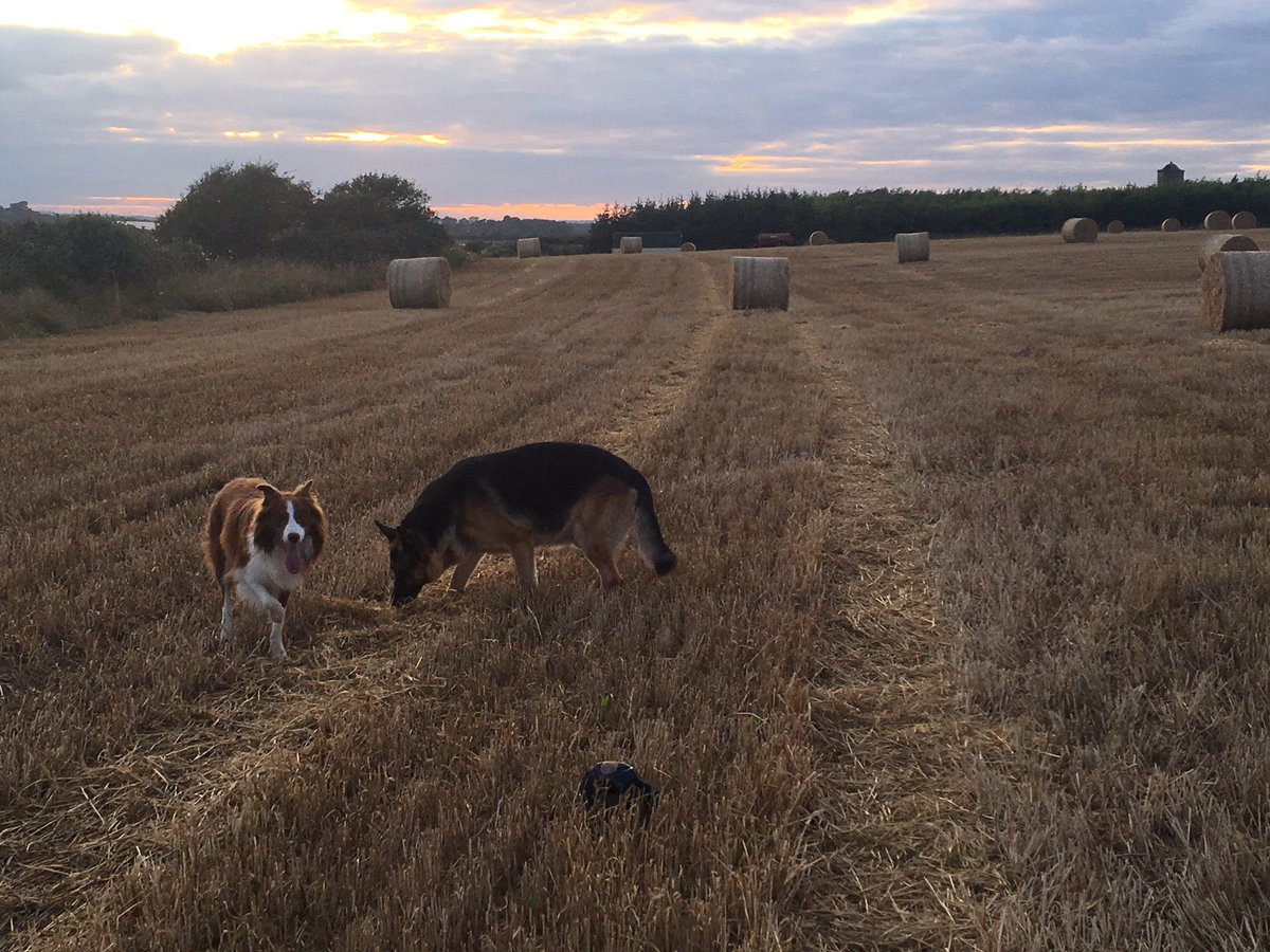 Love this time of year