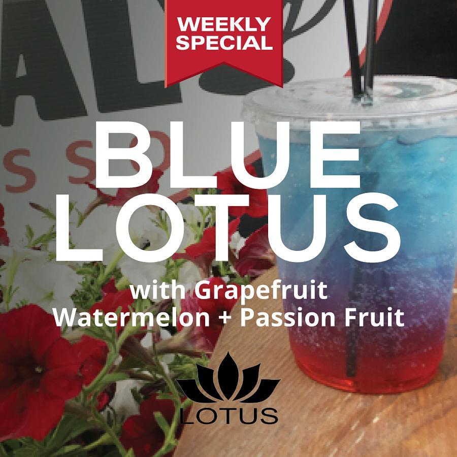 Lotus Energy Drinks tweet media