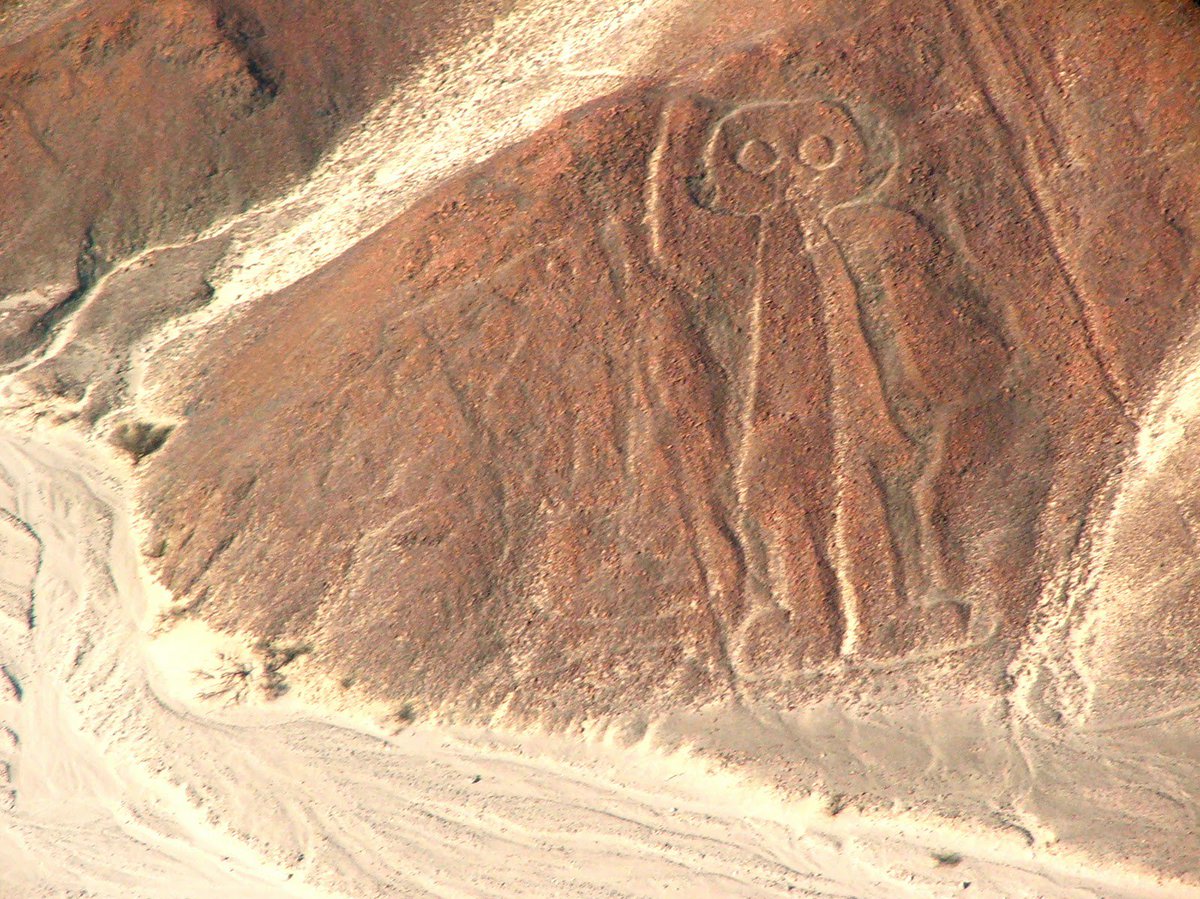 WeParanormal's tweet photo. The #NazcaLines ! What is the purpose of these lines? Is it a message to #aliens from other #galaxies? I guess we will never know. 

#peru https://t.co/bMfyRXQa4F
