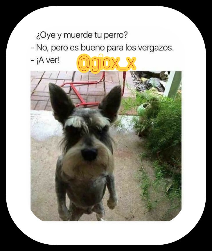 giox_x's tweet photo. #BienvenidoSeptiembre #SodaCirqueConRadioacktiva #1Sep #ClaroQueTeSigoPeru #FelizFinde #pasamosagosto #HelloSeptember #DaleRT #Rusia2018 https://t.co/83eha5TmaT