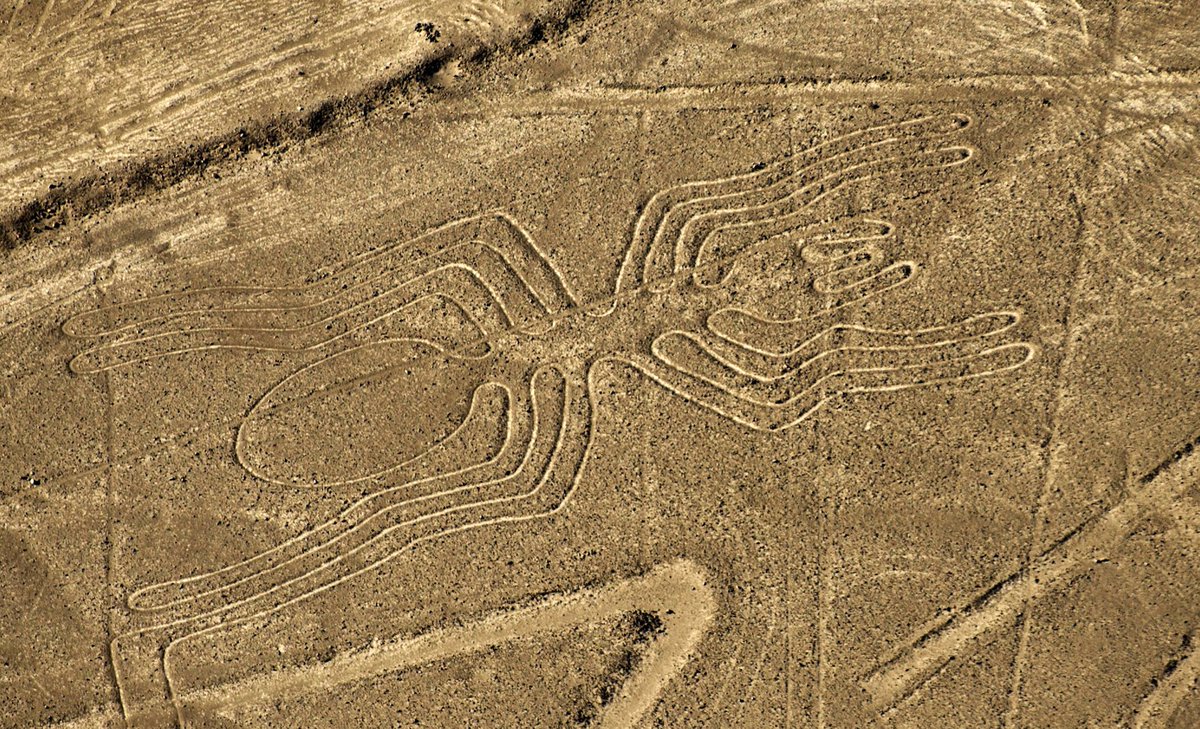 WeParanormal's tweet photo. The #NazcaLines ! What is the purpose of these lines? Is it a message to #aliens from other #galaxies? I guess we will never know. 

#peru https://t.co/bMfyRXQa4F
