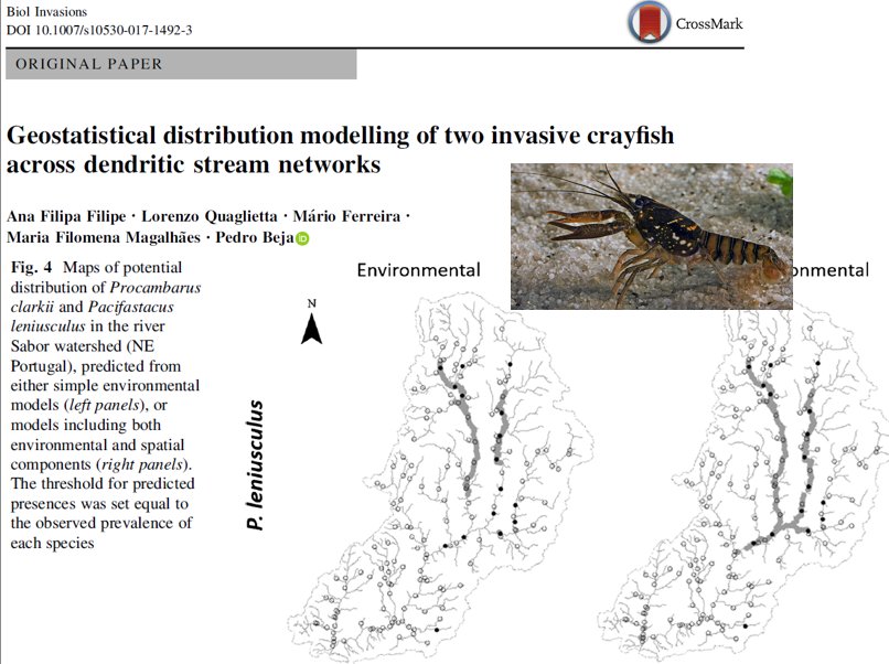 Cool new study that uses SSNs for species distribution modeling of crayfish in Portugal. Available here fs.fed.us/rm/boise/AWAE/…