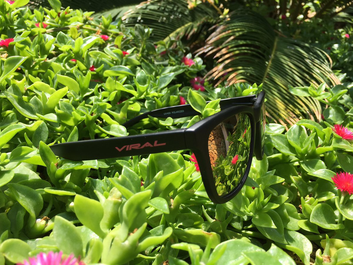 VIRALSUNGLASSES's tweet photo. Black Matte - Cherry Pink ❤️ https://t.co/plR979GQPw