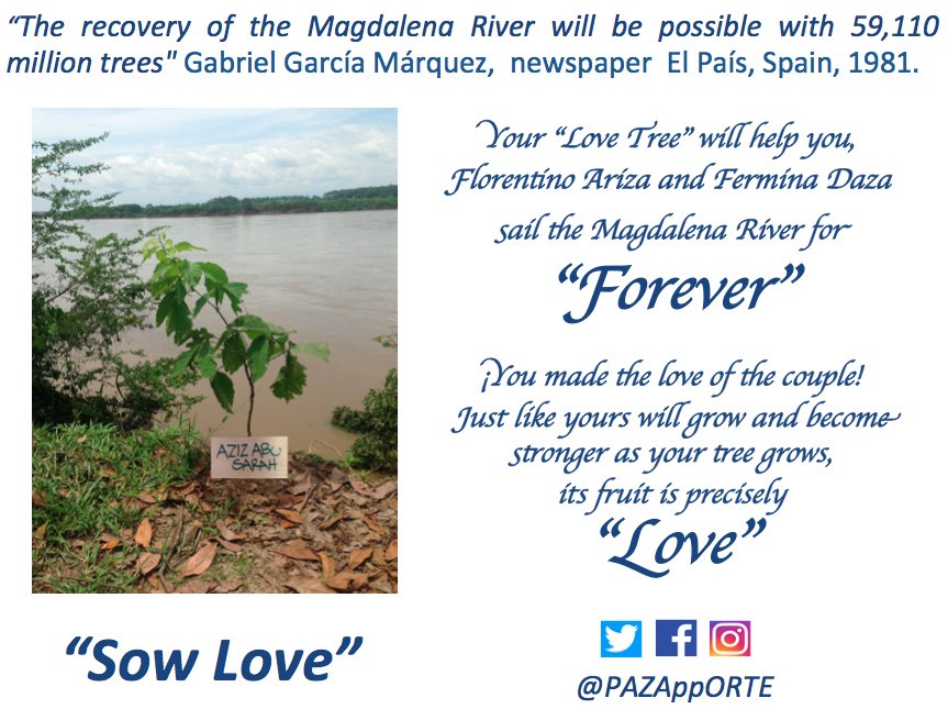 @AzizAbuSarah Your Love Tree in Colombia #PeaceTourism #Love #LiteraryTourism #MagdalenaRiver #GabrielGarcíaMárquez #LoveIntheTimeOfCholera