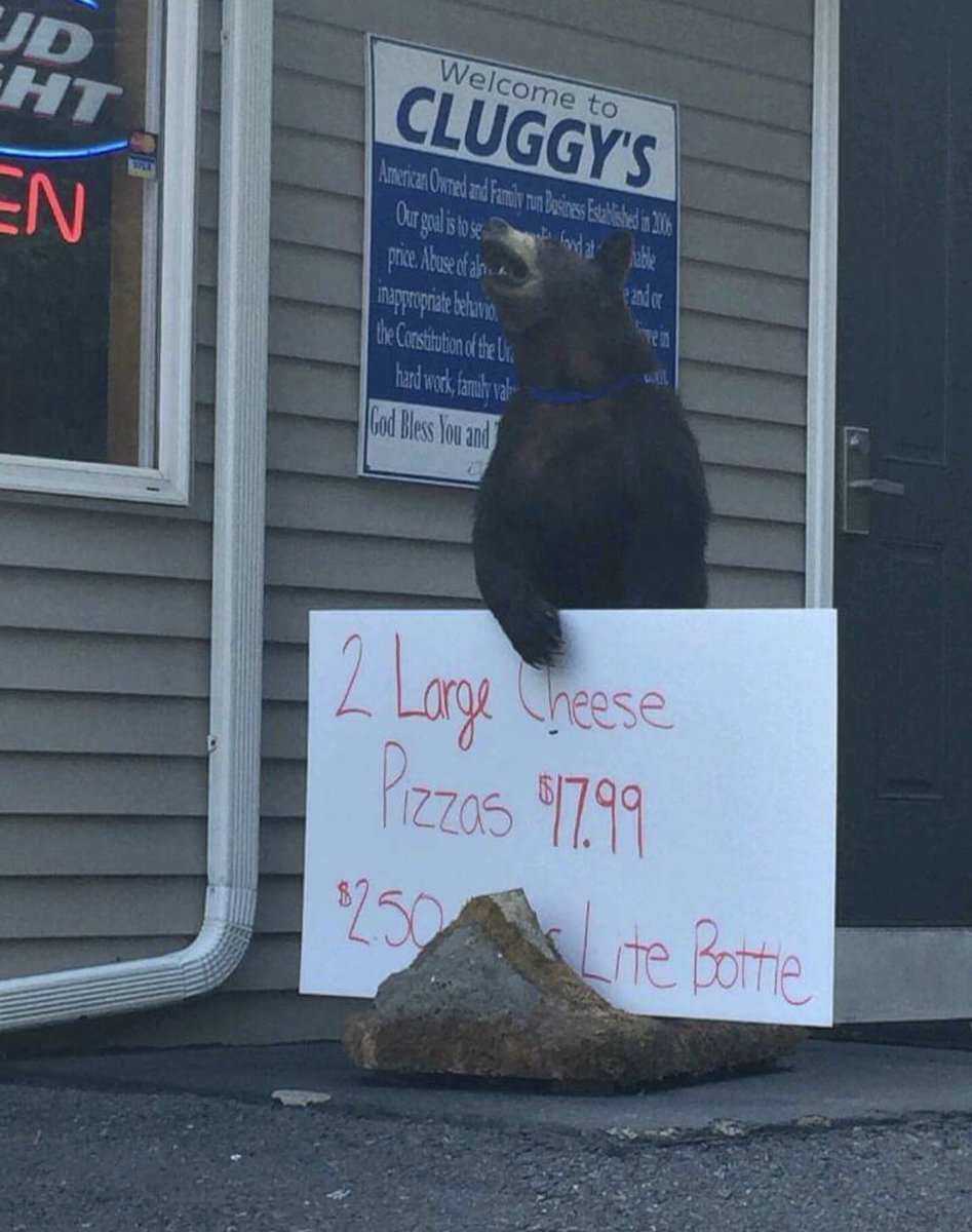 cperrycounty's tweet photo. That's a real stuffed bear selling pizza! #cpc #classicperrycounty https://t.co/DQzNc5tY8Z