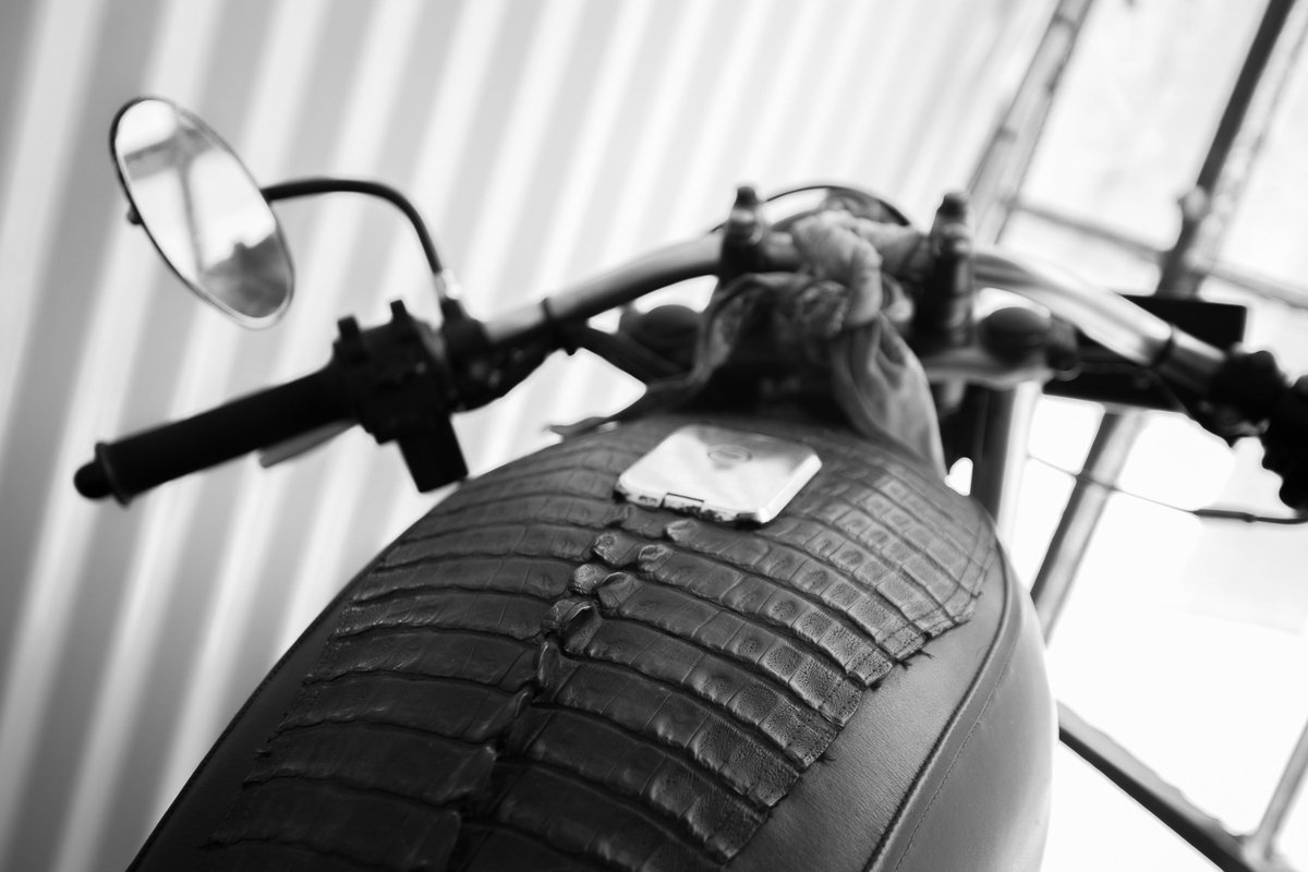 Tiger House Films tweet media