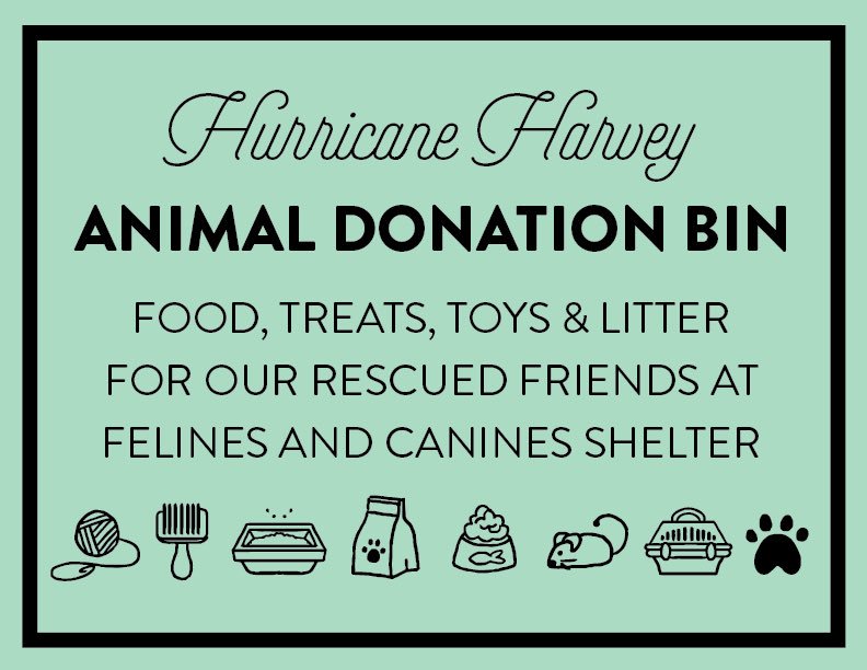 Puppet Bike (chipuppetbike) Twitter