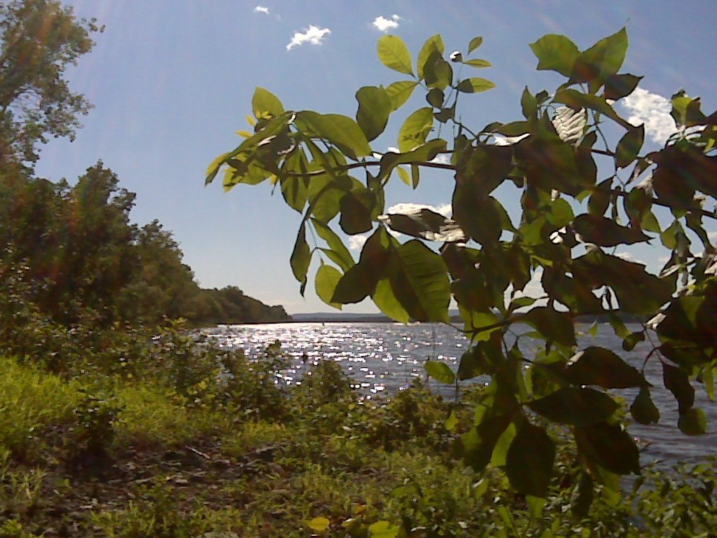 RELA_ESL's tweet photo. Sunny days on the #CapitalPathway.
@ottawacity @OttawaOutdoors
#loveottawa #ottawariver #ottwalk #ottbike #ottawariverpathway #riverwalk https://t.co/4z7z1rwXnb