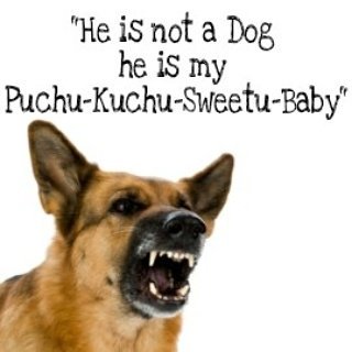 paragvoice's tweet image. Yaar school me toh kuch aur hi padhate the D for Dog ☺️
#cutepets #cutedogs #cutenames