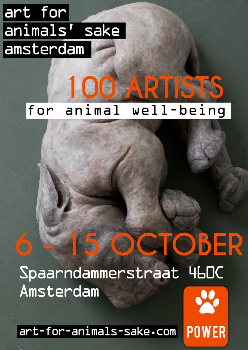 Art4AnimalsSakeNL tweet media