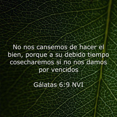 ciduque's tweet photo. Convicciónes que alimentan nuestro estilo de vida ... https://t.co/LSft1QK5KO