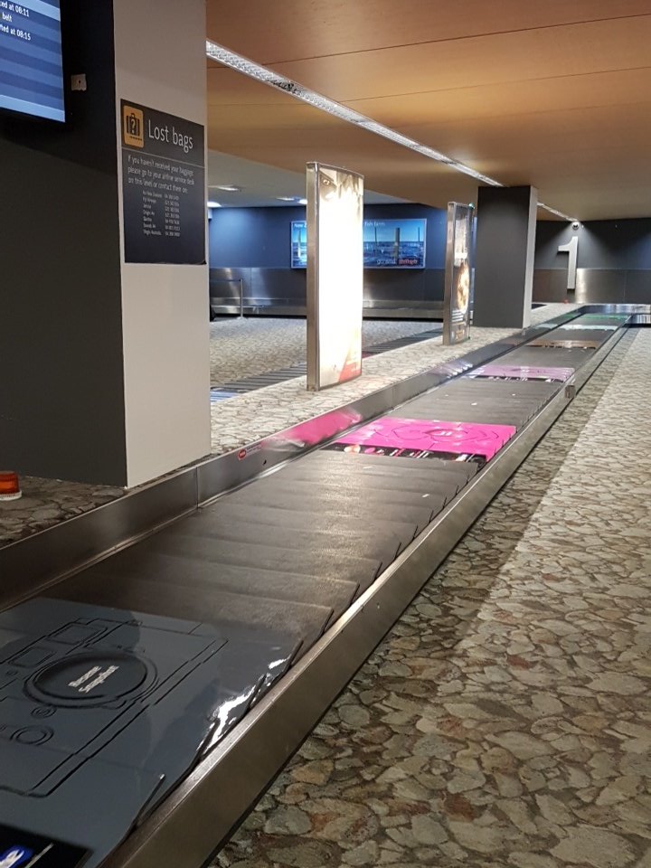 ingoaGaz's tweet photo. Heading to #AreaC #YLE2017 for @GirlGuidingNZ - just landed in Wellington! https://t.co/CEky64f1QV