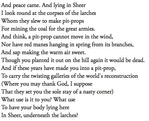 Working on lovely new settings of WW1 poems #SymphonyofTrees. 
A bit weepy all day working on this beautiful thing: