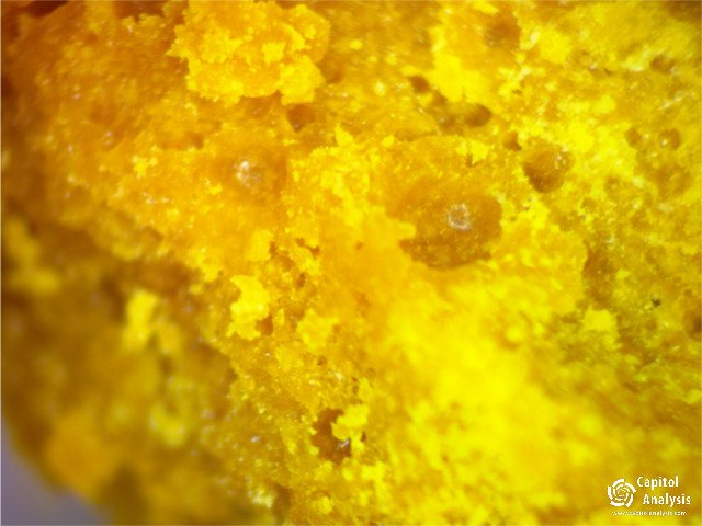 capitolanalysis's tweet photo. #smokeypointproductions #rollingfarms #secretrecipe #capitolanalysis #cannabisindustry #cannabis #marijuana #weed https://t.co/97zeeSPRBZ