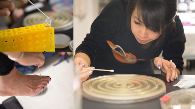 At #BioHackThePlanet, <a href="/davidsunkong/">David Sun Kong, Ph.D.</a> presented on Biota Beats, a project to create music from the human microbiome mitsha.re/rkL230eQbK3