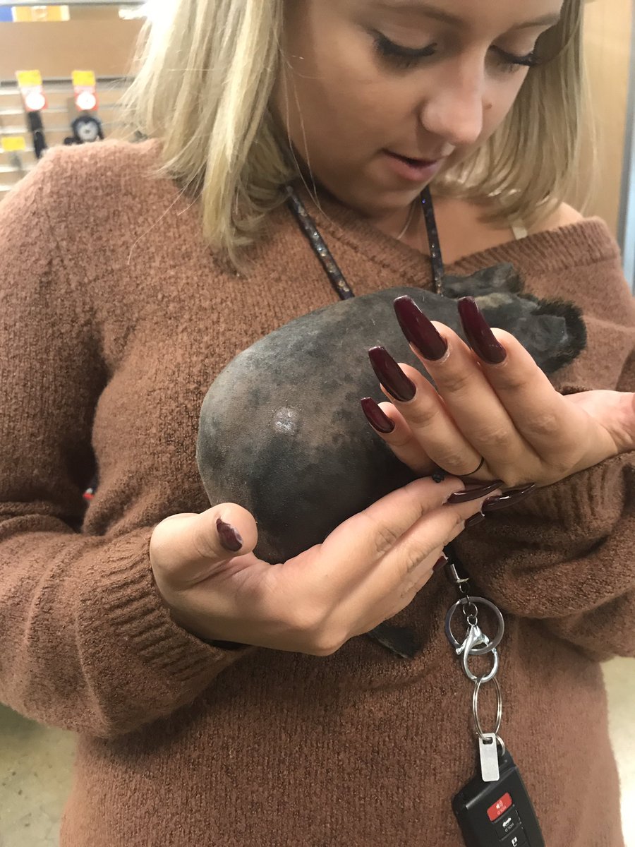 Kingggaaaa's tweet photo. I was supposed to give my mom my car payment, instead I bought a hairless guiny pig #shehatesme #ihadtoo #helovedme #ilovehim https://t.co/ihaVuLGA2k
