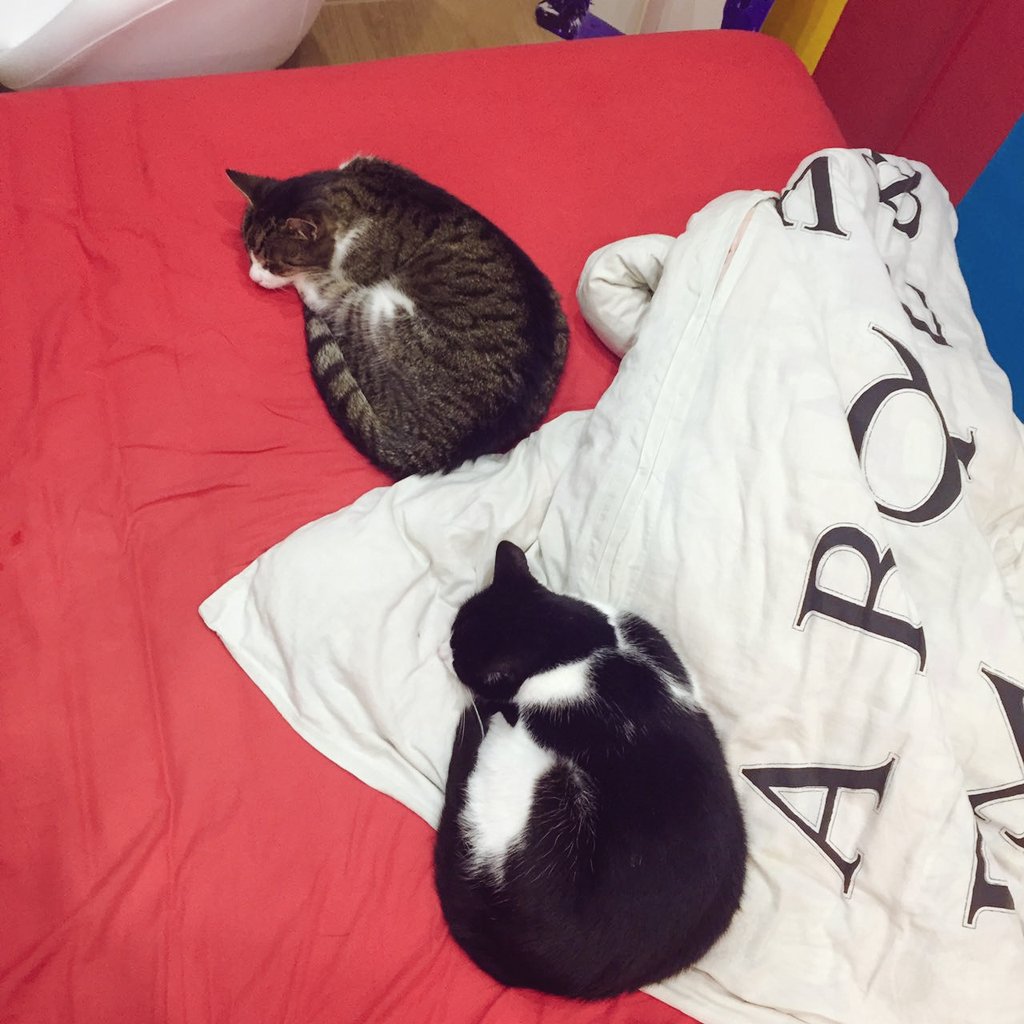 ctrl c ctrl v