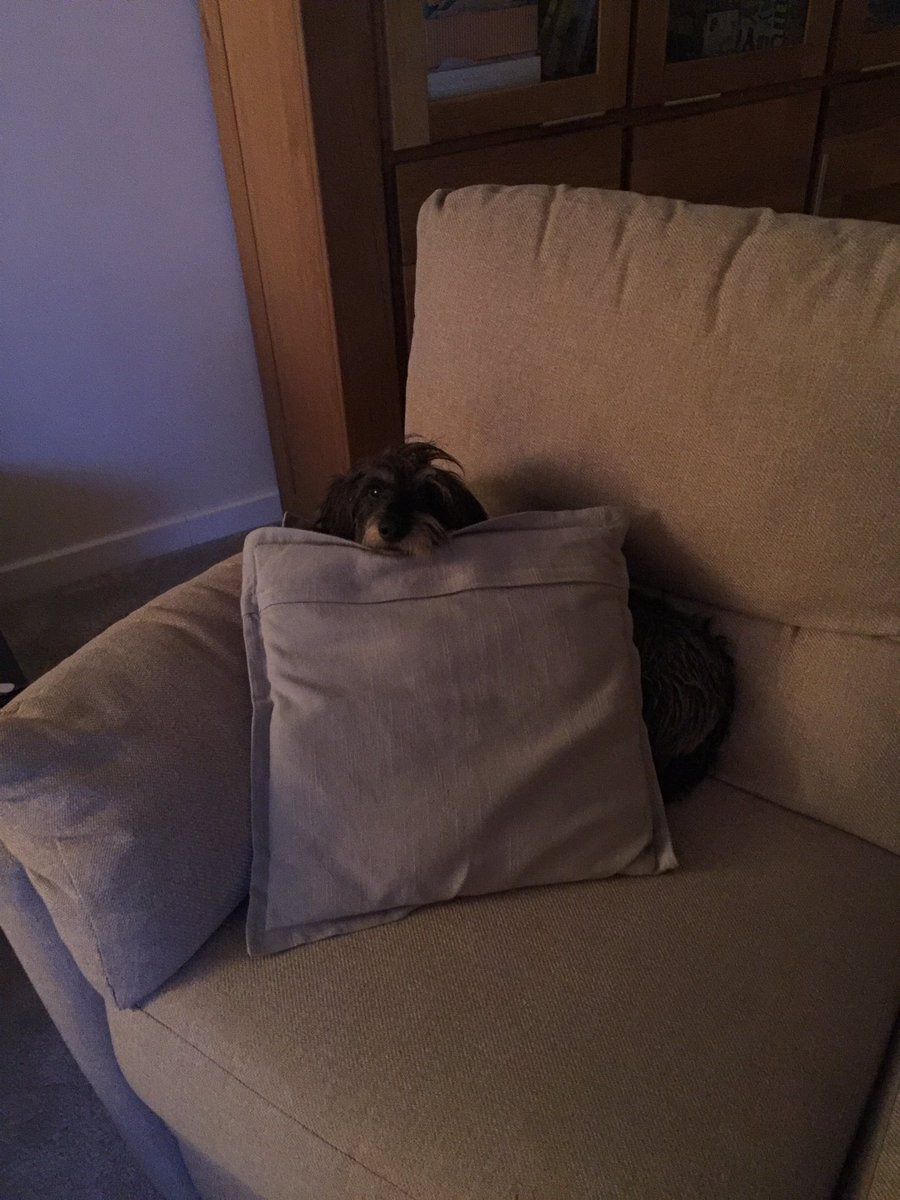 CaptainErnie16's tweet photo. Mum just walked in and found me like this, thought it was a photo op - I'm not sure what the big deal is #makingmyselfcomfortable https://t.co/mzN3R5BffI