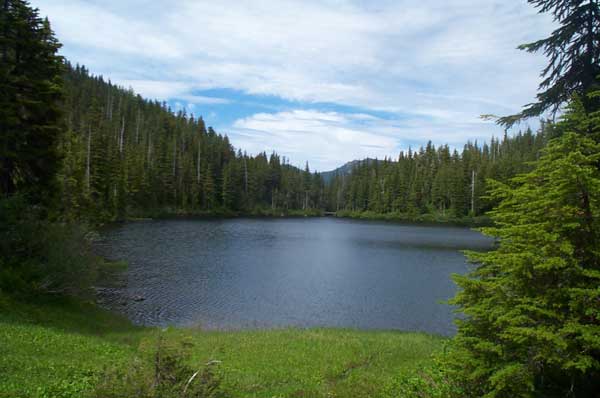 *enjoying a walk by the lake with <a href="/CGreyGF/">Christian Grey</a> &amp; the children, Ted is running along with Riley* it is so beautiful here Christian