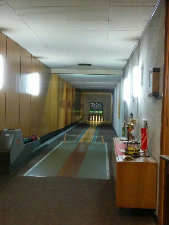 doctor8bit's tweet image. Gut Holz! #Fuchsjagd