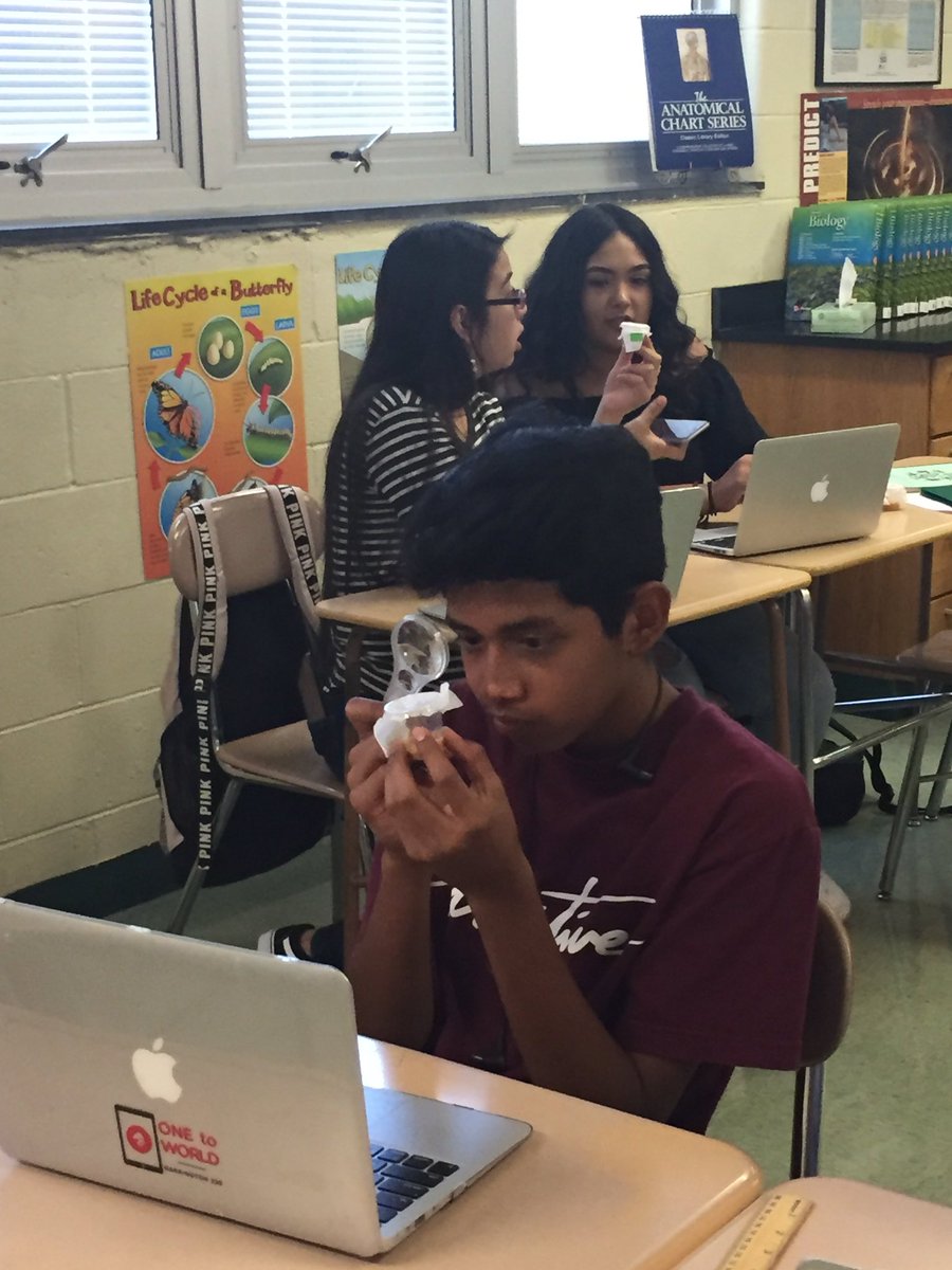 lpennock_edu's tweet photo. iBio Ss using technology to conduct qualitative data #observations #tech #coteaching #iBio @LTurngren @czenner_edu @bhs220 @barrington220 https://t.co/aLK36Jd9EV