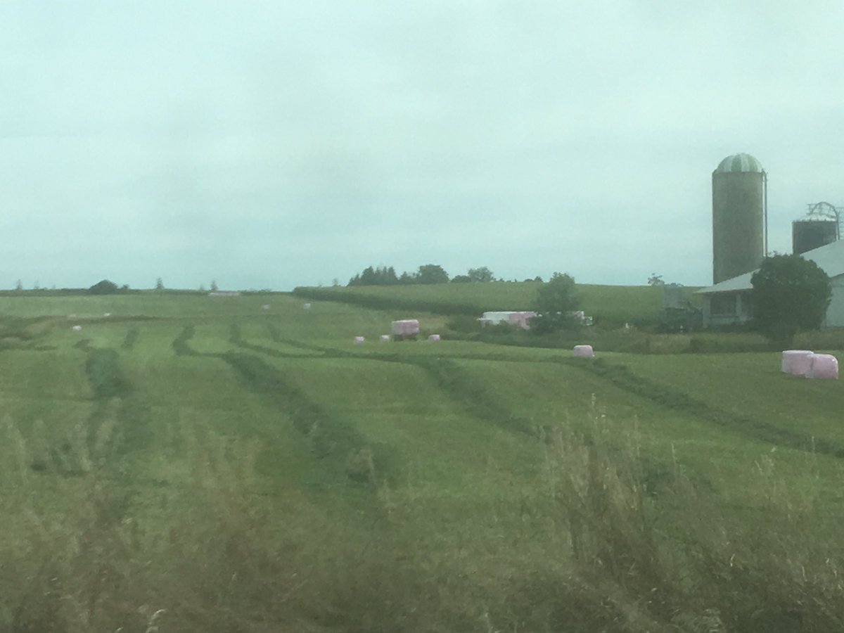 Kwales86's tweet photo. Pink bales looking good #wrappink #thinkpink  #breastcancerawareness https://t.co/eRldkssstk