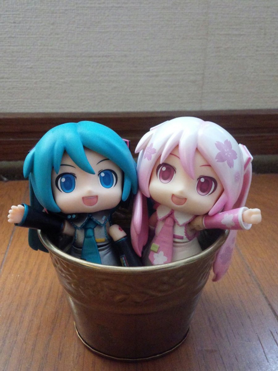 you45624's tweet photo. @Symamone まもさん☆おはようございます♪(^_^)/ https://t.co/sssS2Ftvr2