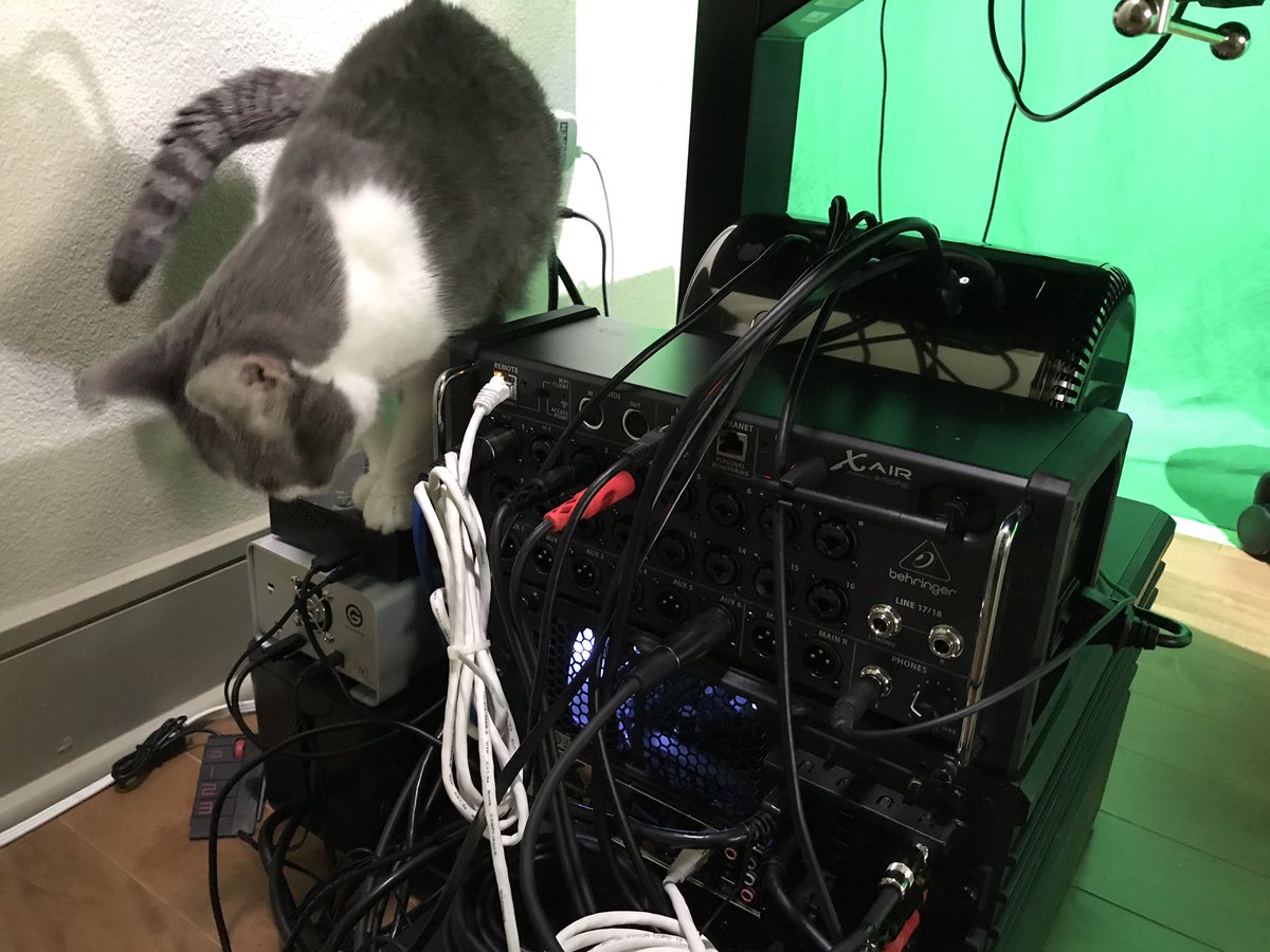 BEHRINGERJP's tweet photo. 自分の手の届かないところでもこのアシスタンントなら届くぞ言わんばかり作業っぷり😺 商品の詳細はこちらから→https://t.co/g0ekQSTPdn
Thank you for sharing this📷 @bryanveloso
#FEELJP #BEHJP #XAIR https://t.co/yq5KceCito