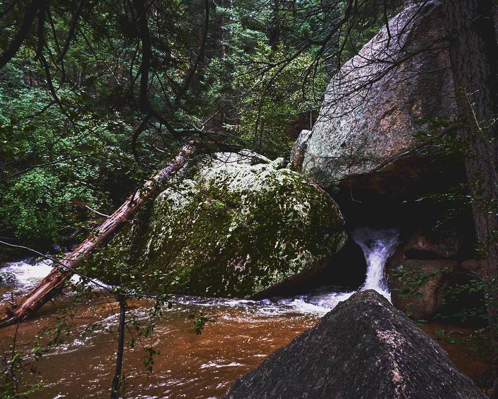 CalebGiki's tweet photo. Watery wilderness
.
.
.
.
.
.
#SonyImages 
#MoodyGrams
#PointofView
#WanderLust
#WorldPlaces
#NatureLovers
#WorldC… https://t.co/HTeoU6rrz0 https://t.co/BELIiw2mci