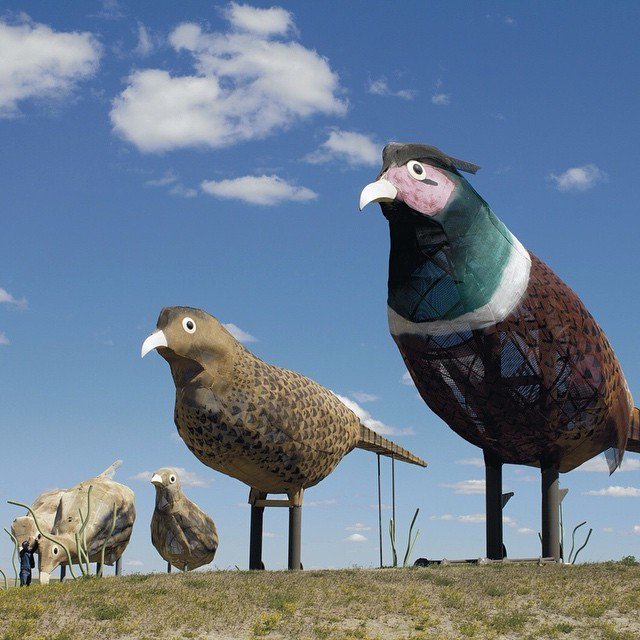 RawVisionMag's tweet photo. In #RawVision 95, out in a few weeks, discover #GaryGreff’s giant scrap-metal #sculptures in #NorthDakota!
#sculp… https://t.co/B4pl2Gj6Yz https://t.co/M0ul8JeY3T