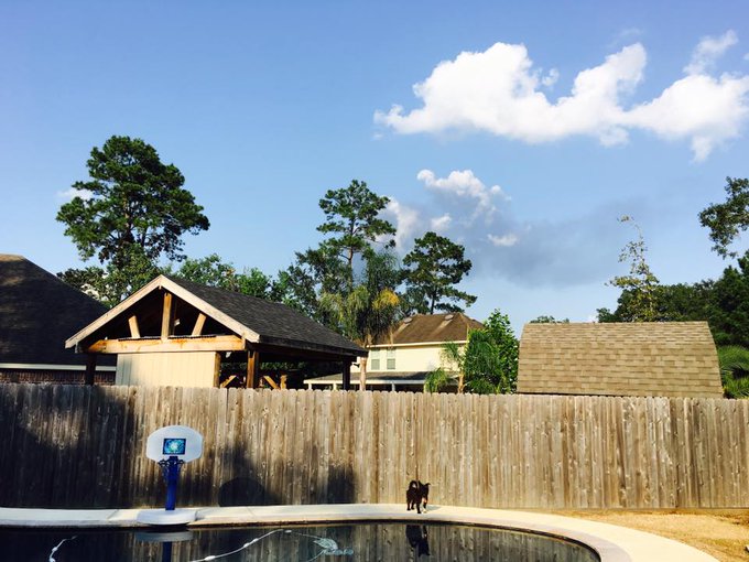 View image on Twitter View image on Twitter