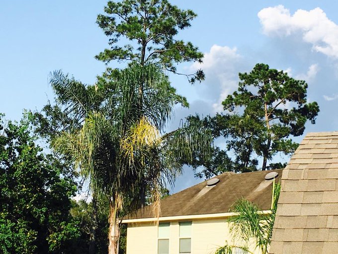 View image on Twitter View image on Twitter