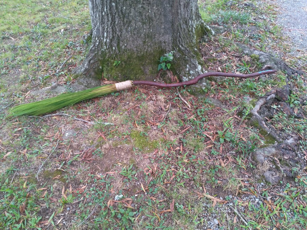 What kind of werewitch would I be without a flying broom?