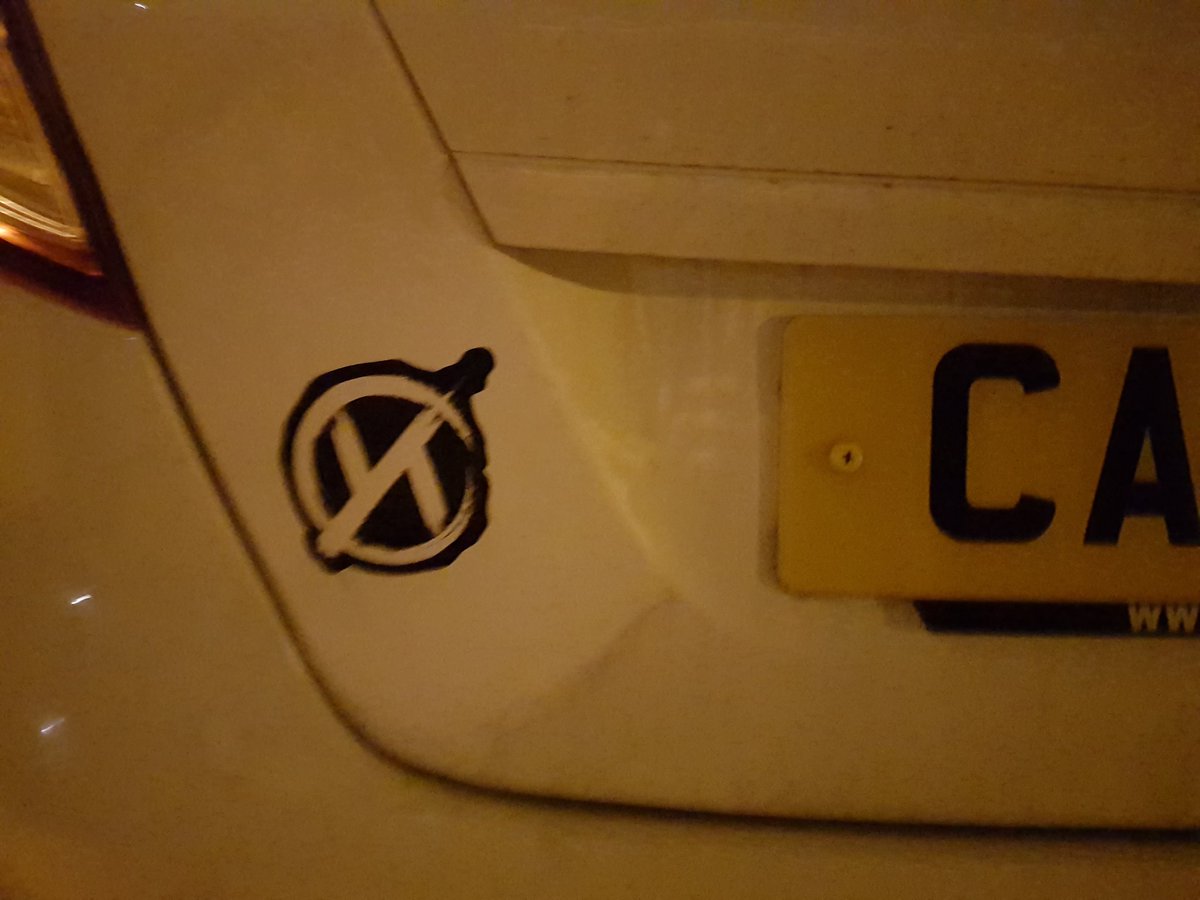 Spooky Bear 🐻 🦇👻 tweet media