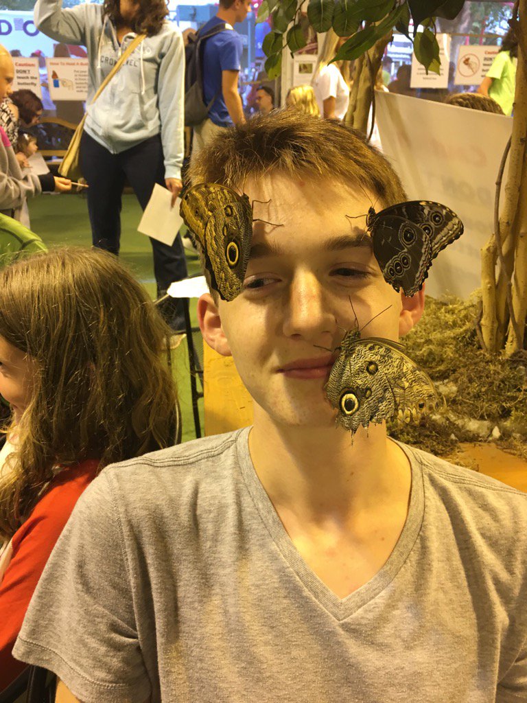 greg_boyd's tweet photo. Zach (a friend's son) in the "Butterfly Cage" at the Minnesota State Fair. #butterflymagnet https://t.co/Wb4YghCDBc