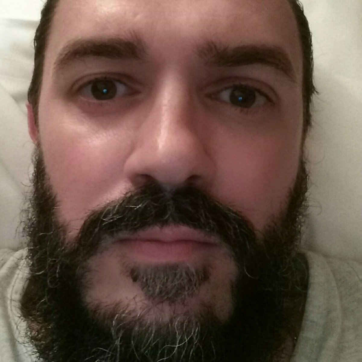 Katzilla64's tweet image. #NouvellePhotoDeProfil même si le monde à pu vivre sans avant 😰