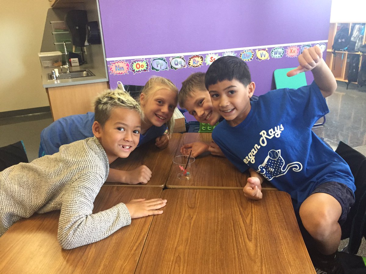 Rhonda Wellmann tweet media