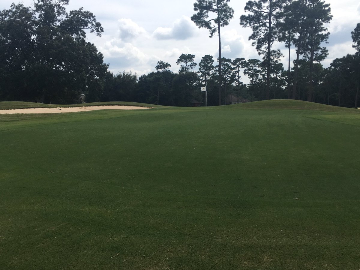 Timber1golf's tweet photo. Even after 8+ inches rain and a short week with weather we are mowed out and off path. Working traps and details but great shape.#timber https://t.co/kAnlPVx0Nk