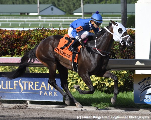 Brisnet's tweet photo. #PhantomRo seeks to stay perfect in #Affirmed @GulfstreamPark ; #GoAstray faces eight in Susan's Girl
https://t.co/GLyOwM6Sjg https://t.co/62o0LbE58t